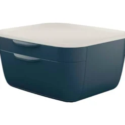 FICHERO CAJONES DE SOBREMESA LEITZ COSY 2 CAJONES GRIS