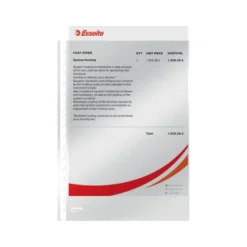 Funda Multitaladro Esselte DIN A4 Cristal 11 taladros 80 MC Caja 100 uds