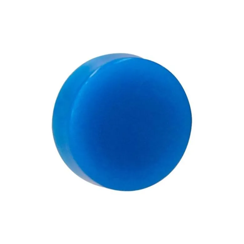 IMANES PARA SUJECION LIDERPAPEL ECOUSE PP RECICLADO PARA PIZARRA MAGNETICA 25 MM CAJA DE 10