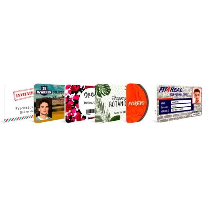 IMPRESORA DE TARJETA BADGY 200 INCLUYE CINTA 100 TARJETAS Y PROGRAMA EDICION BADGE STUDIO+