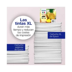 INK-JET EPSON 604XL MULTICOLOR C13T10H64010