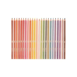 Lapices de colores Bic evolution Stripes Caja de 24 colores surtidos