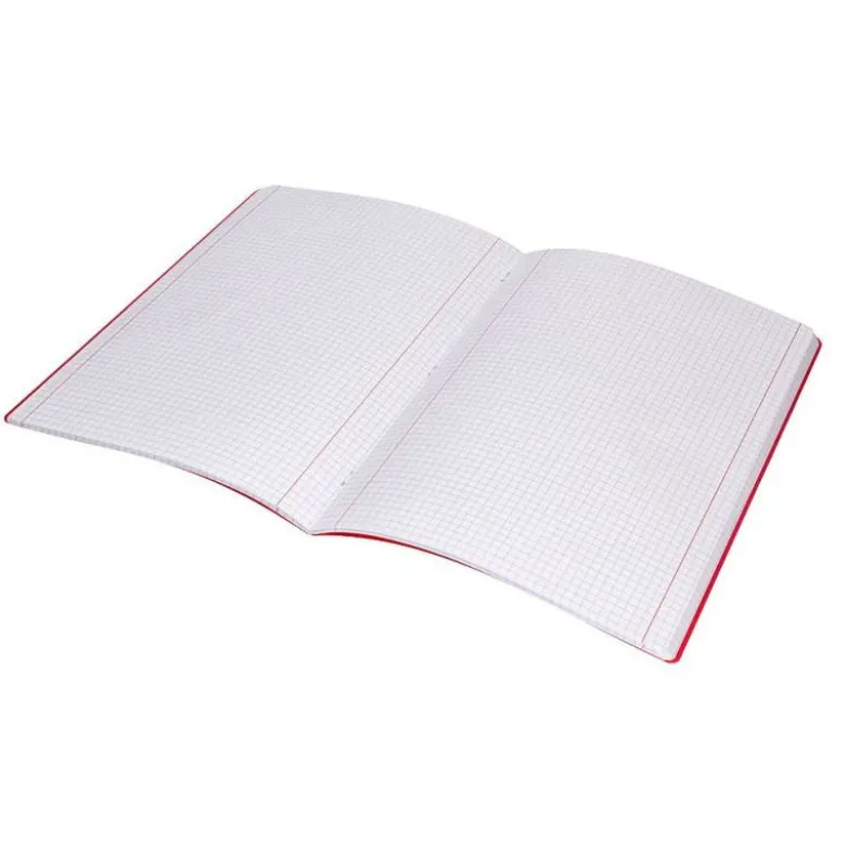 LIBRETA LIDERPAPEL 360 TAPA DE PLASTICO A4 48 HOJAS 90G/M2 5MM CON DOBLE MARGEN COLORES SURTIDOS