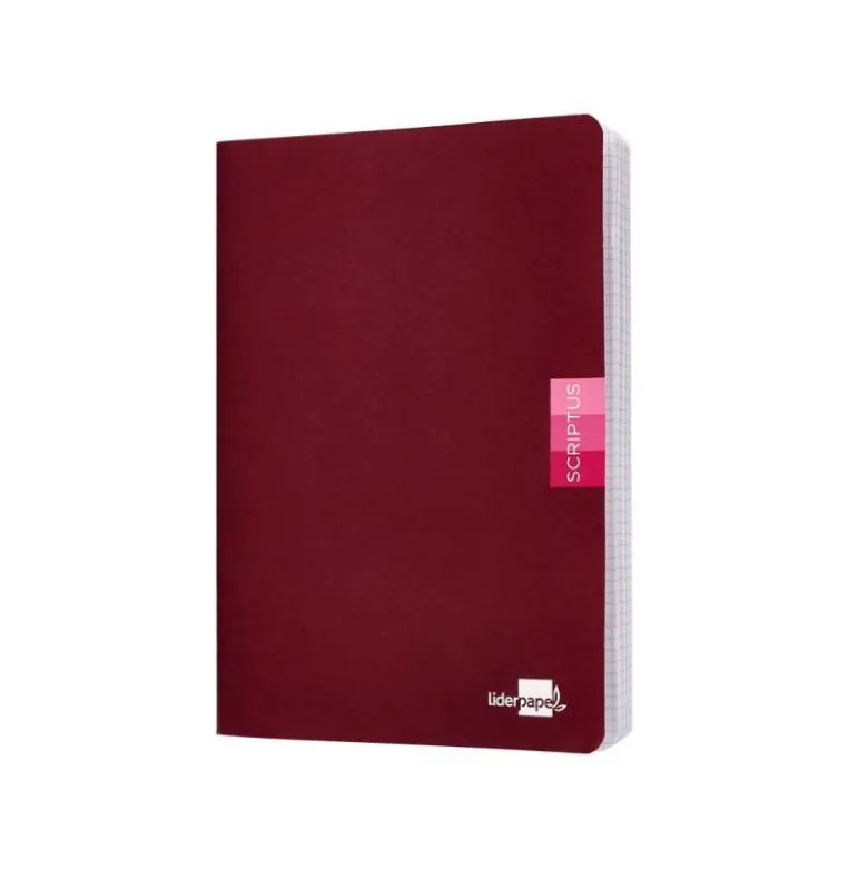 Libreta escolar Liderpapel Scriptus 48 hojas cuadricula 4 mm Tamaño DIN A5