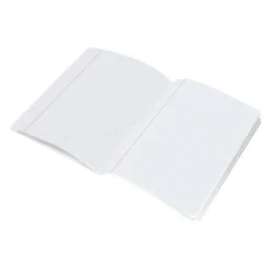 Libreta escolar Scriptus Liderpapel cuadricula 3mm 48 hojas tamaño DIN A5