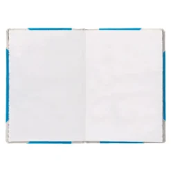 LIBRO CARTONE COSIDO FERNANDES FLECHA DIN A4+ LISO 50 HOJAS 100 GR AZUL