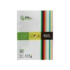 Papel Liderpapel Colores Surtidos 80 g/m2 A4 100 hojas