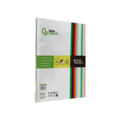 Papel Liderpapel Colores Surtidos 80 g/m2 A4 100 hojas