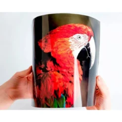 Papel Q-Connect foto glossy kf01103 DIN A4 digital photo. Bolsa de 20 hojas de 180 gr