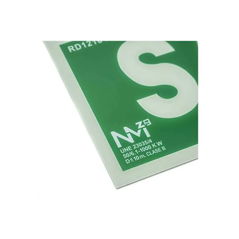 PICTOGRAMA ARCHIVO 2000 SALIDA PVC COLOR VERDE LUMINISCENTE 300X105 MM PACK DE 2 UNIDADES