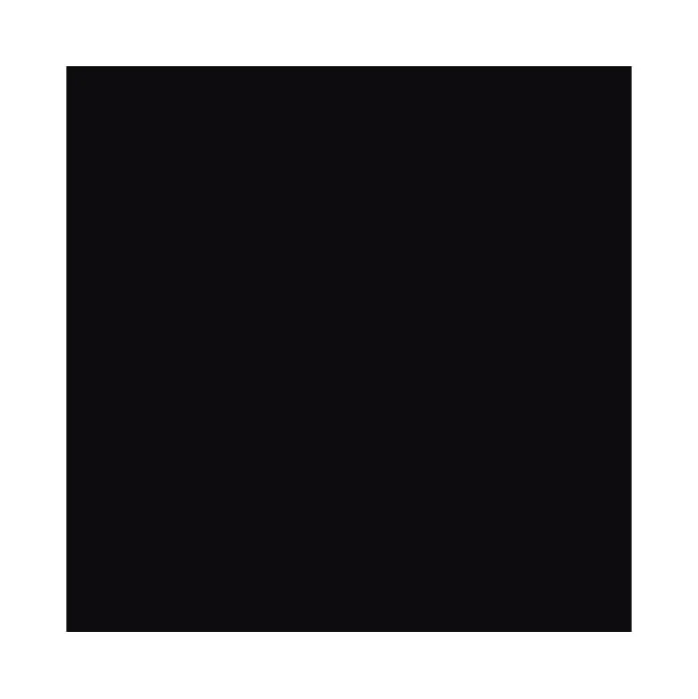 Pintura Acrilica L&B Brillo Color Negro 250 ml