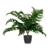 PLANTA ARTIFICIAL PAPERFLOW HELECHO 55 CM