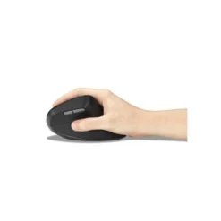 RATON KENSINGTON MY630 EQ OPTICO 2400 DPI ERGONOMICO RECARGABLE COLOR NEGRO
