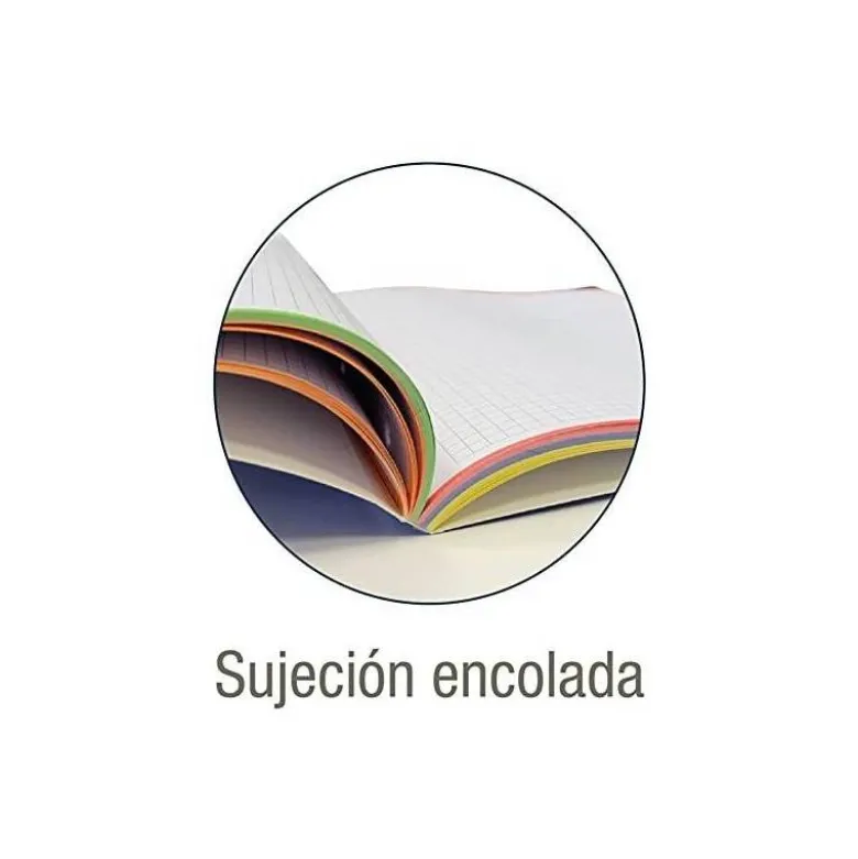 Recambio color oxford din a4 80 hojas 90 gr optik paper cuadros 5mm 4 taladros recuadros de 5 colores