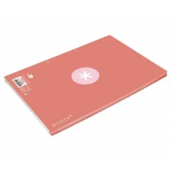RECAMBIO LIDERPAPEL A4 ANTARTIK 80 HOJAS 90G/M2 CUADRO 5 MM 4 TALADROS 1 BANDA MARCO COLOR ROSA