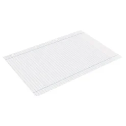 Recambio Liderpapel A4 100 hojas 100g/m2 horizontal con doble margen 4 taladros
