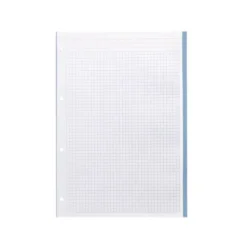RECAMBIO LIDERPAPEL A4 200+50 HOJAS 90G/M2 CUADRO 5 MM 4 TALADROS BANDAS DE 5 COLORES