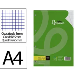 RECAMBIO LIDERPAPEL A4 100 HOJAS 100G/M2 CUADRO 5 MM CON MARGEN 4 TALADROS
