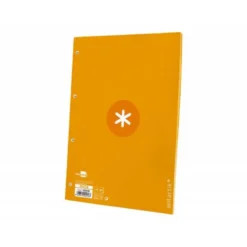 RECAMBIO LIDERPAPEL ANTARTIK DIN A4 4 TALADROS 90G/M2 CUADRO 5 MM 80 HOJAS 1 BANDA MARCO COLOR MOSTAZA