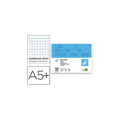 Recambio liderpapel cuarto apaisado 100 h 2tca-07 cuadro 6 mm 2 taladros con margen