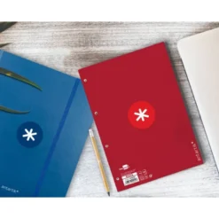 RECAMBIO LIDERPAPEL DIN A4 ANTARTIK 80 HOJAS 90G/M2 CUADRO 5 MM 4 TALADROS 1 BANDA MARCO COLOR FRAMBUESA