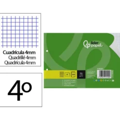 RECAMBIO LIDERPAPEL DIN A5 APAISADO 100 HOJAS 75 GR CUADRO 4 MM 2 TALADROS CON MARGEN