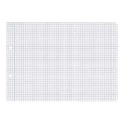 RECAMBIO LIDERPAPEL DIN A5 APAISADO 100 HOJAS 75 GR CUADRO 4 MM 2 TALADROS CON MARGEN