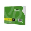RECAMBIO LIDERPAPEL DIN A5 APAISADO 100 HOJAS 75 GR CUADRO 3 MM 2 TALADROS CON MARGEN