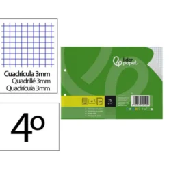 RECAMBIO LIDERPAPEL DIN A5 APAISADO 100 HOJAS 75 GR CUADRO 3 MM 2 TALADROS CON MARGEN