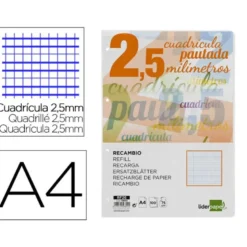 Recambio Liderpapel DIN A4 80 gr cuadricula pautada 2,5 mm