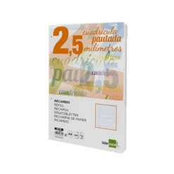 Recambio Liderpapel DIN A4 80 gr cuadricula pautada 2,5 mm