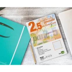 Recambio Liderpapel DIN A4 80 gr cuadricula pautada 2,5 mm