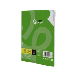 RECAMBIO LIDERPAPEL DIN A5 100 HOJAS 75 GR RAYADO N 46 6 TALADROS
