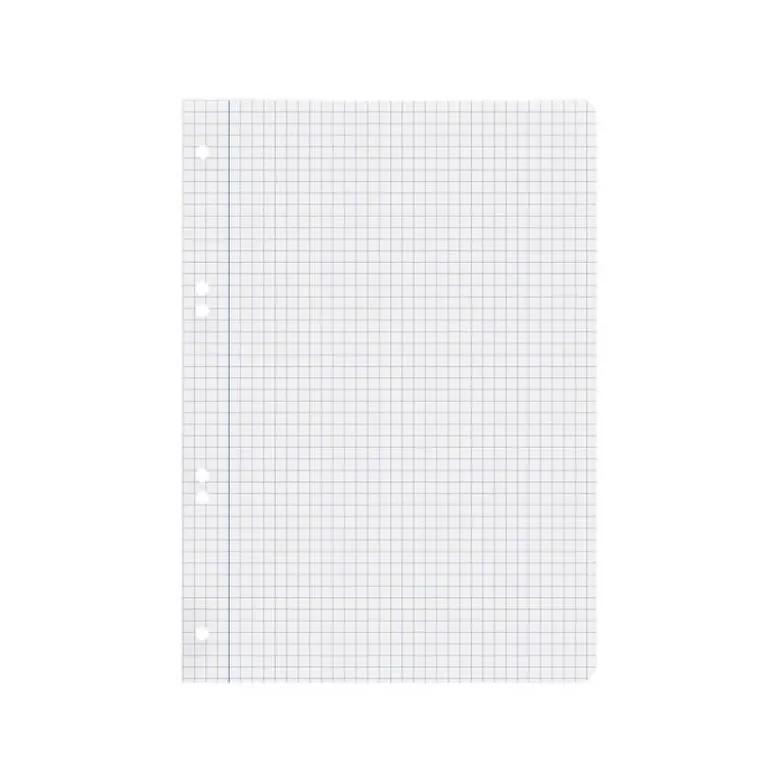 RECAMBIO LIDERPAPEL DIN A5 100 HOJAS 75 GR CUADRO 6MM CON MARGEN 6 TALADROS