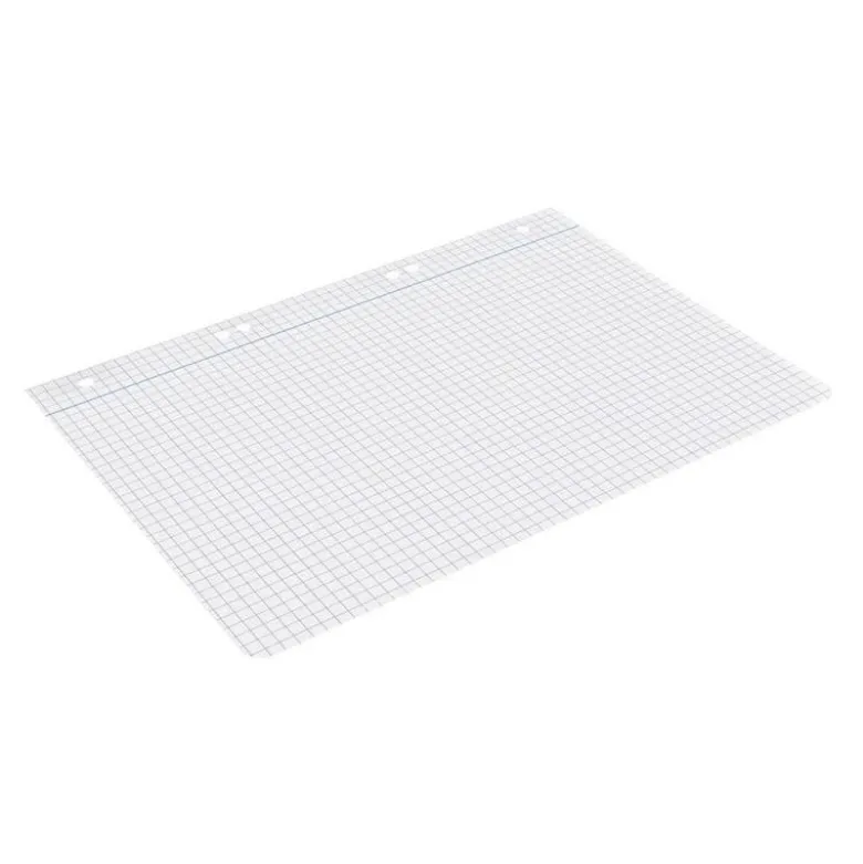 RECAMBIO LIDERPAPEL DIN A5 100 HOJAS 75 GR CUADRO 6MM CON MARGEN 6 TALADROS