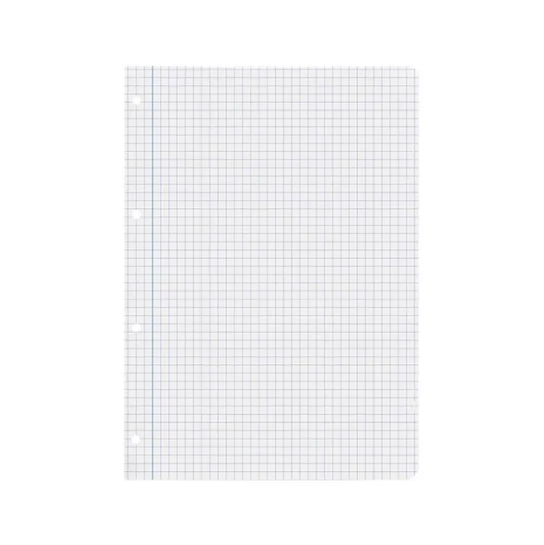 RECAMBIO LIDERPAPEL DIN A4 100 HOJAS 75 GR CUADRO 6 MM 4 TALADROS CON MARGEN