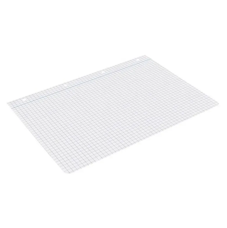 RECAMBIO LIDERPAPEL DIN A4 100 HOJAS 75 GR CUADRO 6 MM 4 TALADROS CON MARGEN