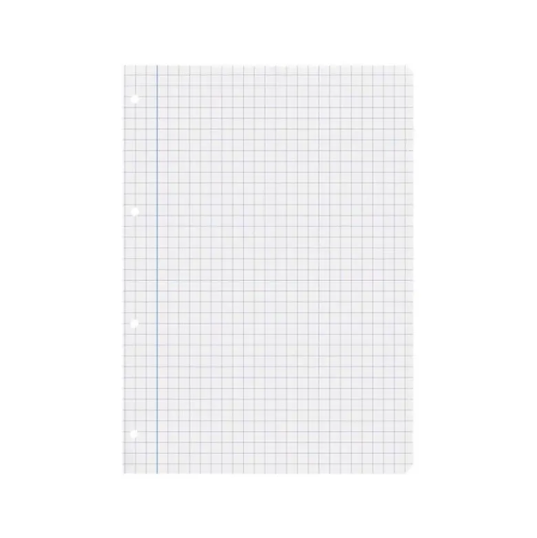 RECAMBIO LIDERPAPEL DIN A4 100 HOJAS 75 GR CUADRO 8 MM CON MARGEN 4 TALADROS