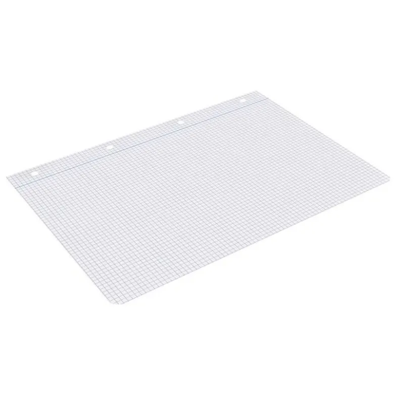 RECAMBIO LIDERPAPEL DIN A4 100 HOJAS 75 GR CUADRO 4 MM CON MARGEN SIN TALADROS