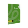 RECAMBIO LIDERPAPEL DIN A4 100 HOJAS 75 GR HORIZONTAL CON MARGEN 4 TALADROS