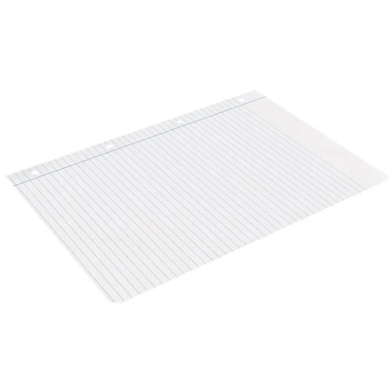 RECAMBIO LIDERPAPEL DIN A4 100 HOJAS 75 GR HORIZONTAL CON MARGEN 4 TALADROS