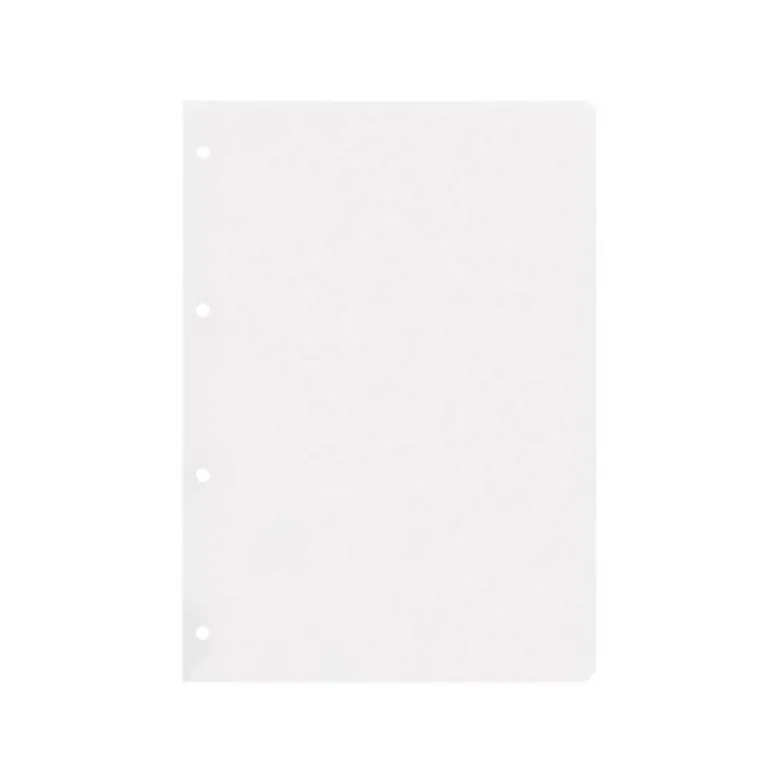 RECAMBIO LIDERPAPEL DIN A4 100 HOJAS 75 GR LISO SIN MARGEN 4 TALADROS