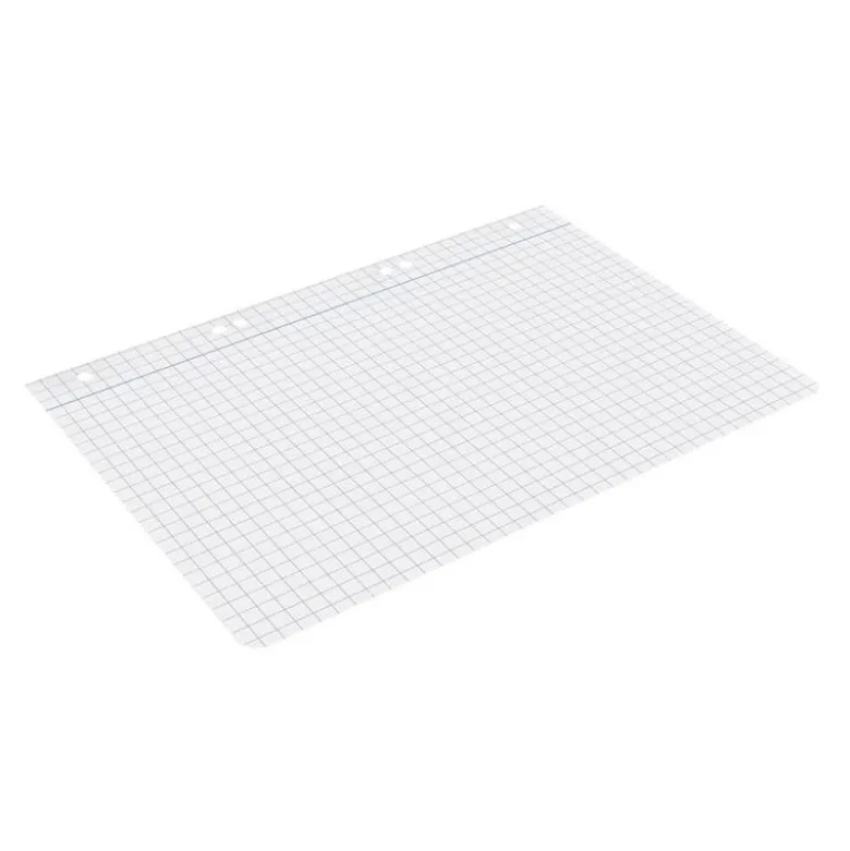 RECAMBIO LIDERPAPEL DIN A5 100 HOJAS 75 GR CUADRO 8MM CON MARGEN 6 TALADROS