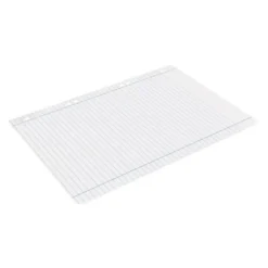 RECAMBIO LIDERPAPEL DIN A5 100 HOJAS 75 GR HORIZONTAL CON MARGEN 6 TALADROS