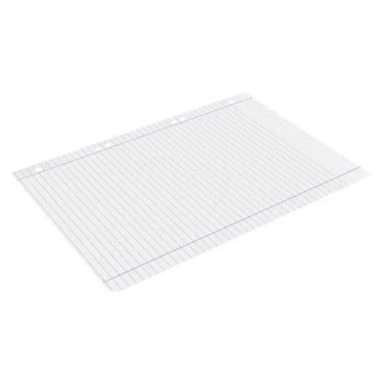 RECAMBIO LIDERPAPEL DIN A5 100 HOJAS 75 GR HORIZONTAL CON MARGEN 6 TALADROS