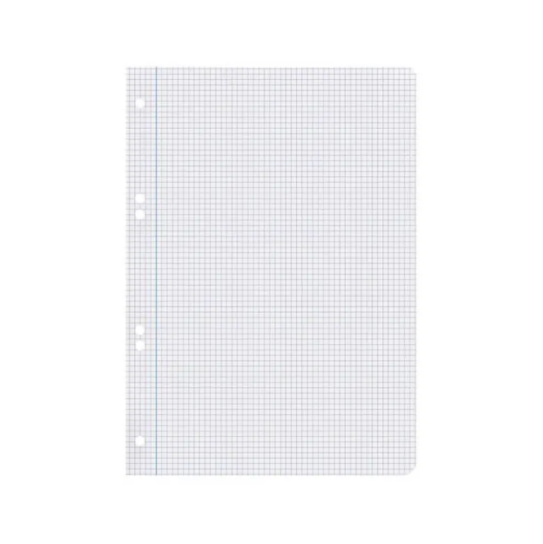 RECAMBIO LIDERPAPEL DIN A4 100 HOJAS 75 GR CUADRO 4 MM CON MARGEN 16 TALADROS