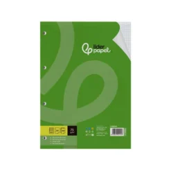 RECAMBIO LIDERPAPEL DIN A4 100 HOJAS 75 GR CUADRO 4 MM CON MARGEN 4 TALADROS