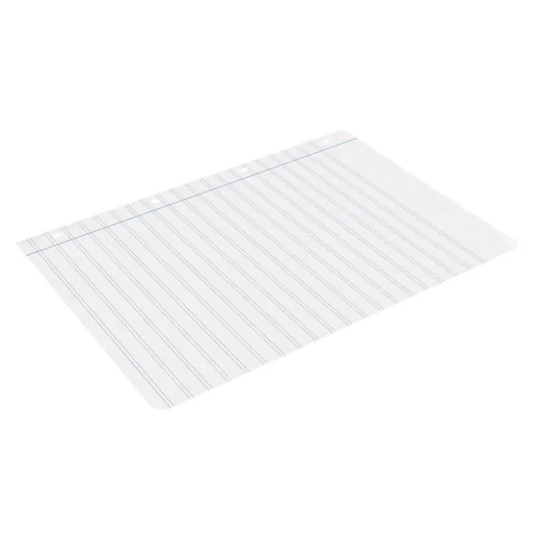 RECAMBIO LIDERPAPEL DIN A4 100 HOJAS 75 GR PAUTA 5 2.5MM CON MARGEN 4 TALADROS