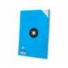 RECAMBIO LIDERPAPEL DIN A4 100 HOJAS 100G/M2 RAYADO HORIZONTAL 4 TALADROS BANDAS DE 5 COLORES ANTARTIK