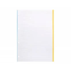 RECAMBIO LIDERPAPEL DIN A4 100 HOJAS 100G/M2 RAYADO HORIZONTAL 4 TALADROS BANDAS DE 5 COLORES ANTARTIK